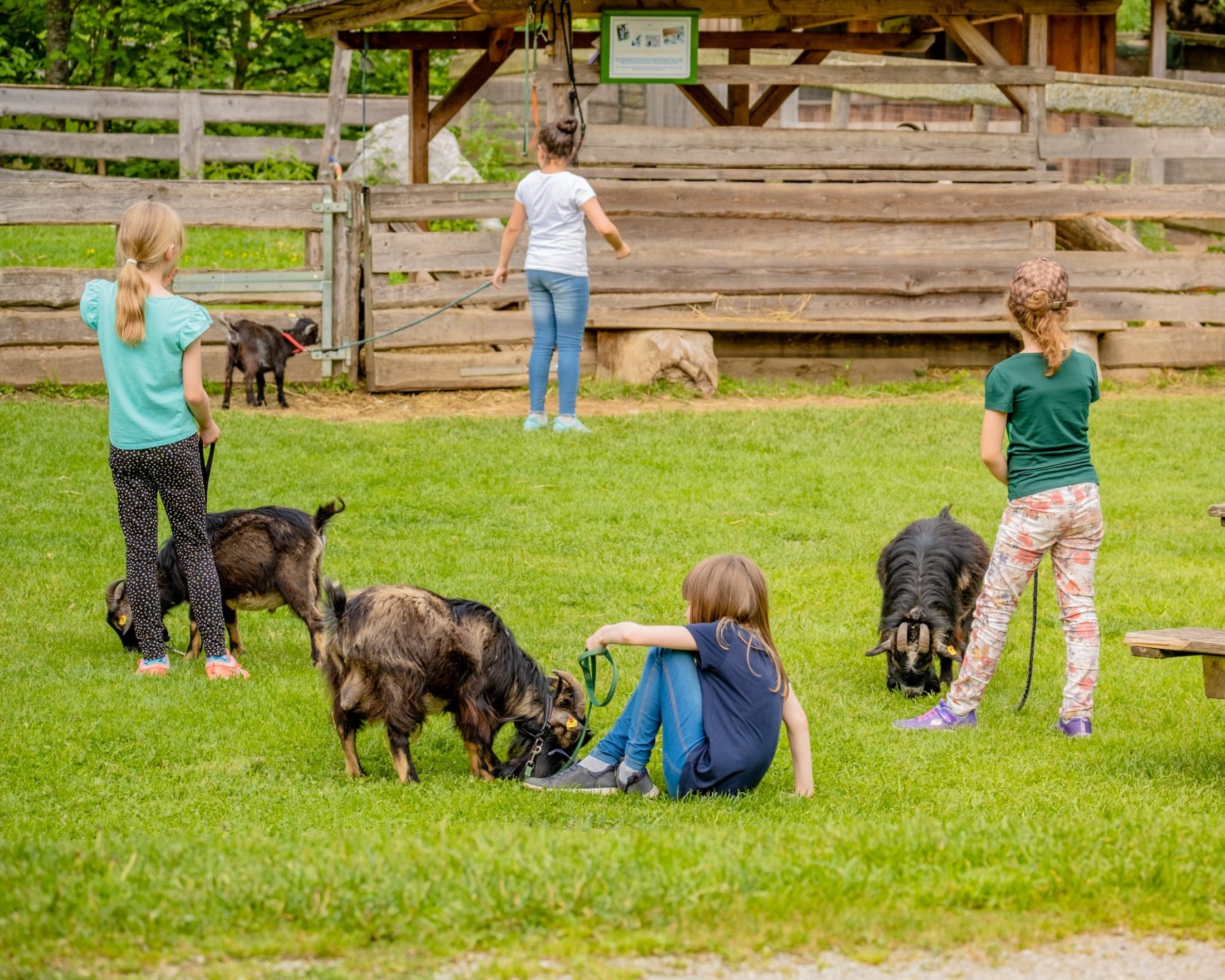 Das Gelände — Kinderhotel Appelhof
