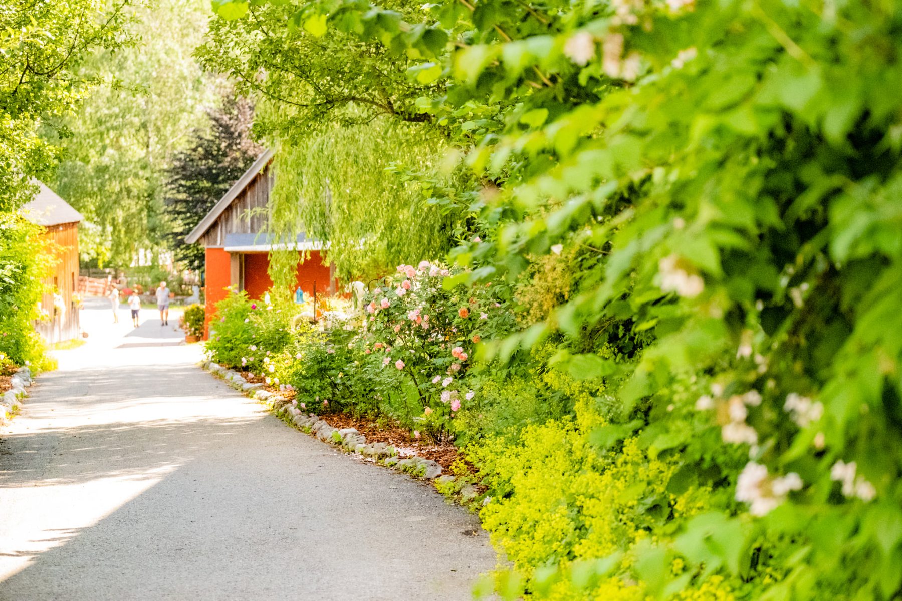 Das Gelände — Kinderhotel Appelhof