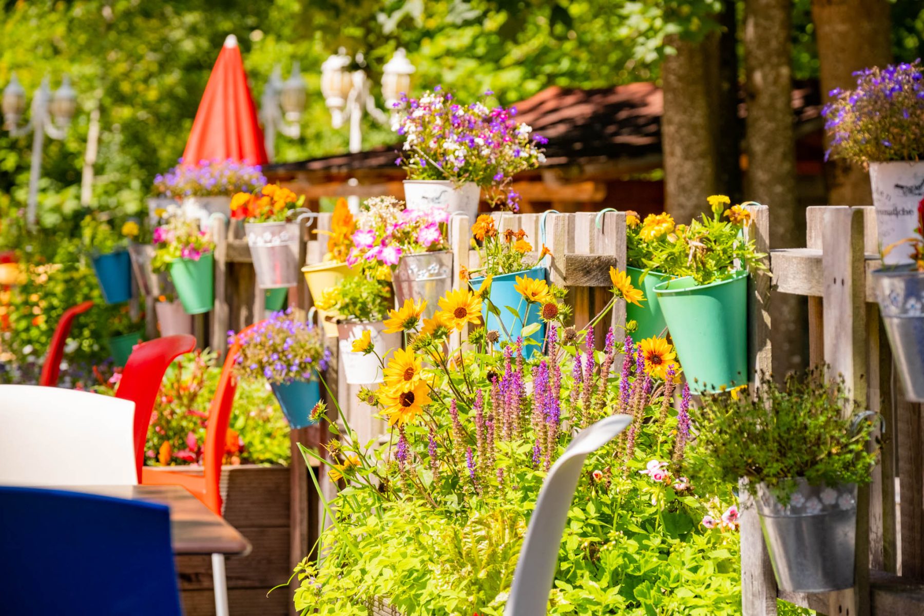 Das Gelände — Kinderhotel Appelhof