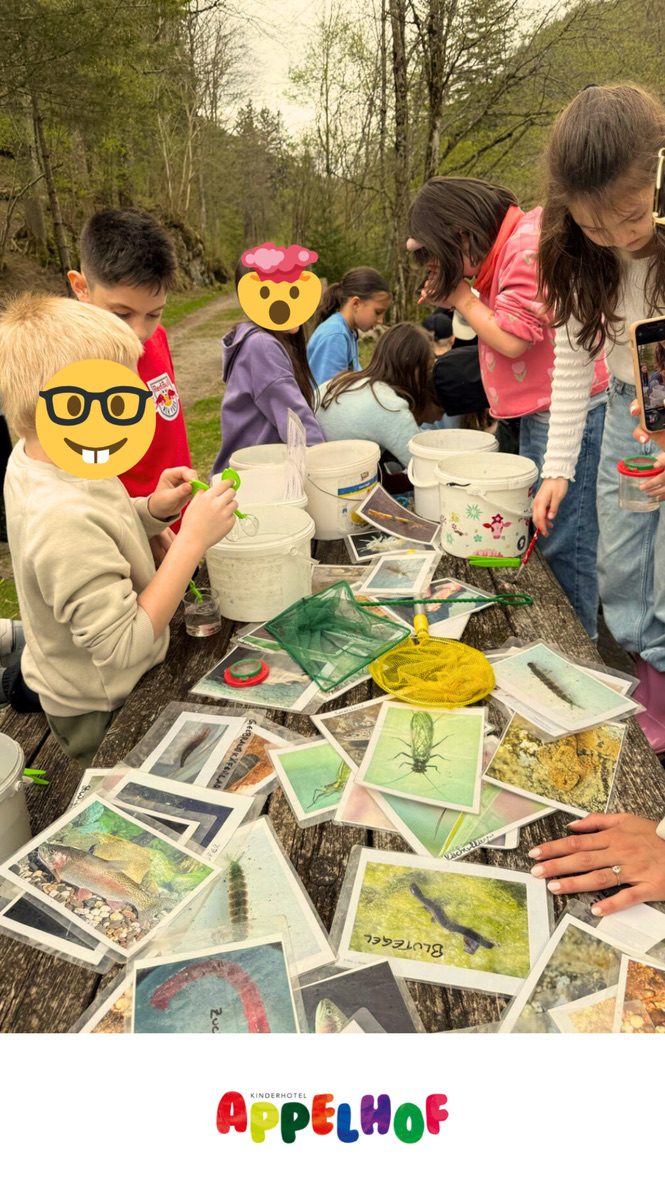 Schulen & Gruppen — Kinderhotel Appelhof