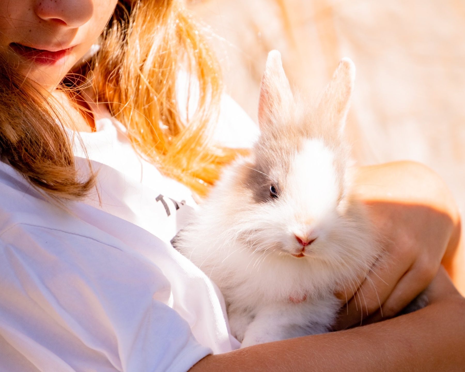 Streichelzoo & Tiere — Kinderhotel Appelhof
