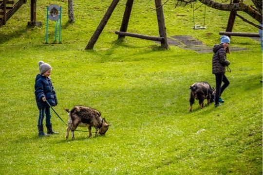 Streichelzoo & Tiere — Kinderhotel Appelhof
