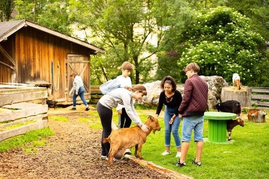 Streichelzoo & Tiere — Kinderhotel Appelhof