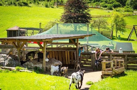 Streichelzoo & Tiere — Kinderhotel Appelhof